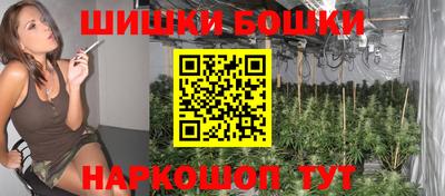 прущие крисы Новодвинск