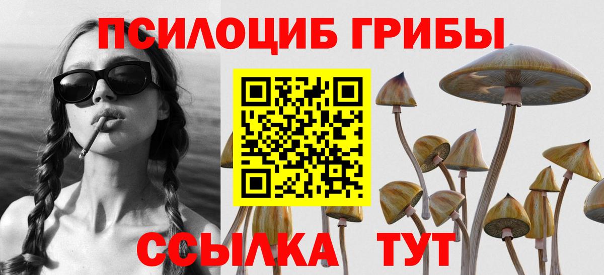 Галлюциногенные грибы GOLDEN TEACHER Тавда