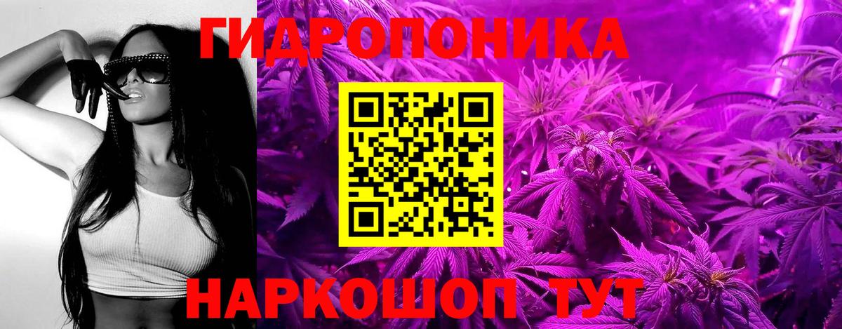 Канабис AK-47 Тавда